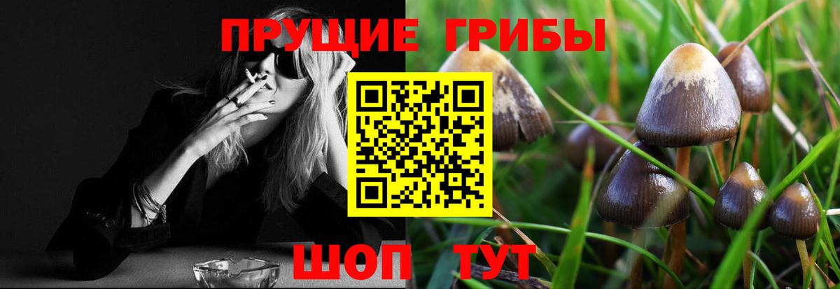 Галлюциногенные грибы Magic Shrooms  Вход с VPN  Иваново 